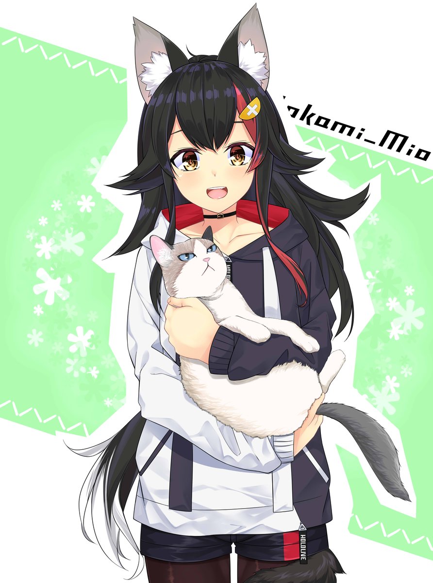 ookami mio 1girl animal ears wolf ears tail long hair shorts cat  illustration images