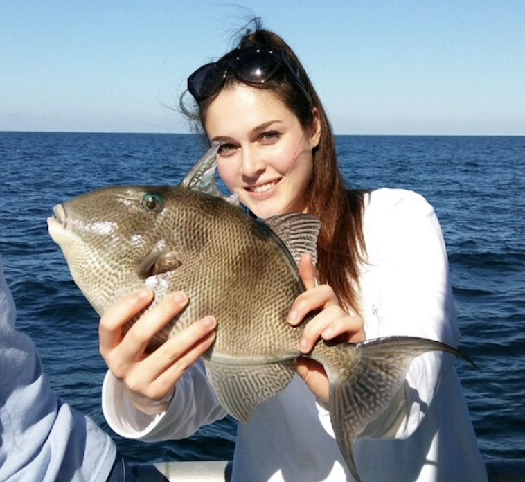 Heads up! Commercial and recreational gray triggerfish season closes after today.