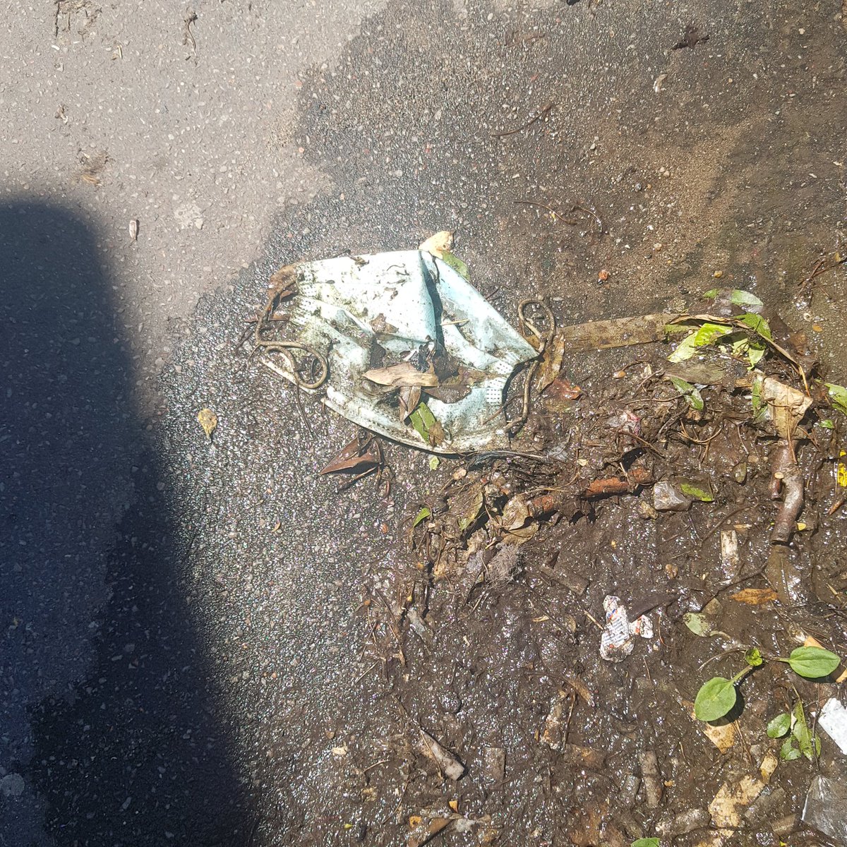BSirsalane's tweet photo. Espérance de vie #MasqueJetable = + 400 ans !

Gare de #Puteaux

#plasticpollution #santé https://t.co/MrtkMPVLJB