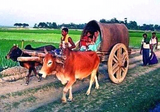 AmarPranerBD's tweet photo. আস্সালামু আলাইকুম 
ওয়া রাহমাতুল্লাহি
ওয়াবারকাতুহু।

 সম্মানিত ভাই ও বোনেরা কেমন আছেন আপনারা https://t.co/BaWjoO5Vef