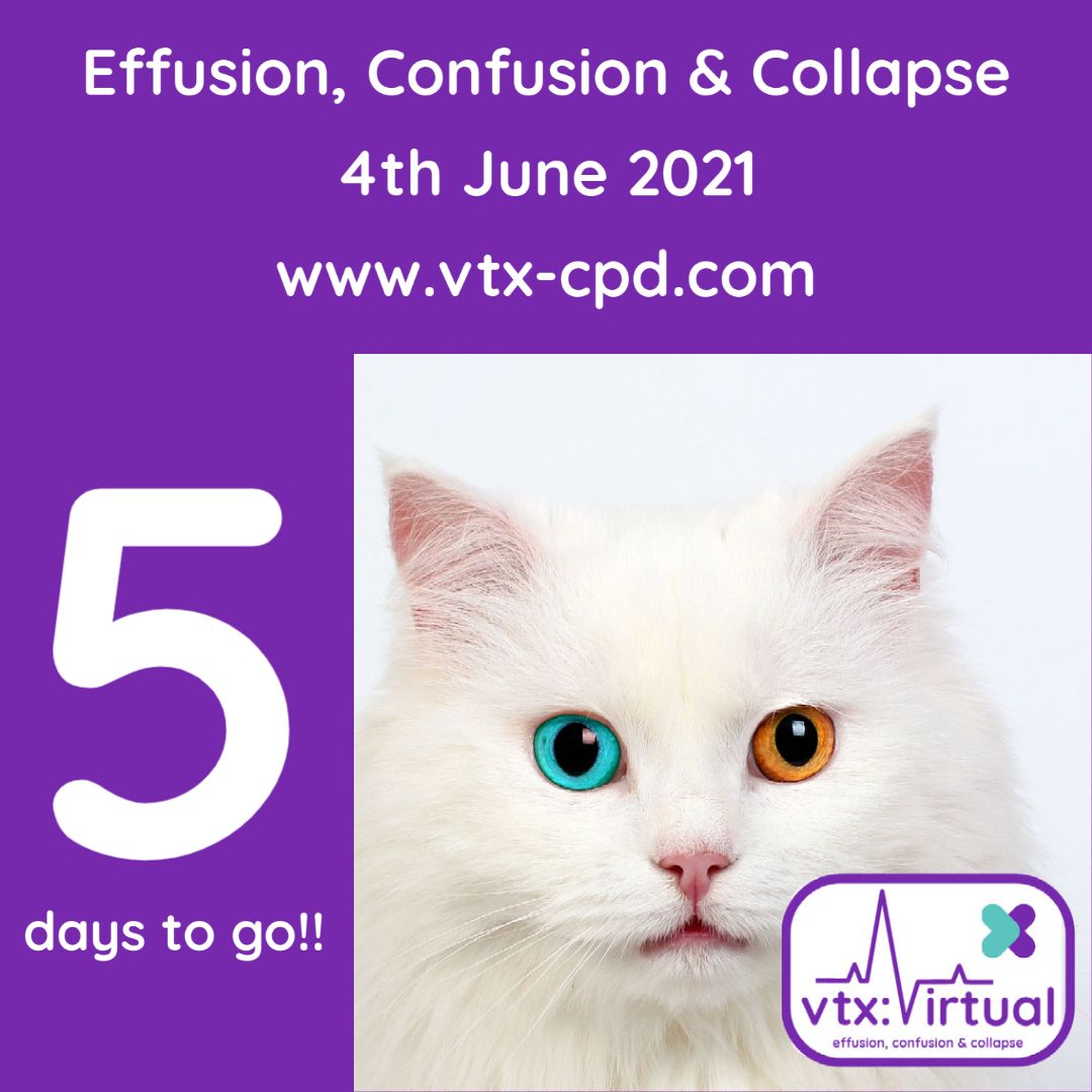 vtx_cpd's tweet photo. vtx:virtual

Effusion, Confusion &amp; Collapse starts on Friday the 4th June @ 8am BST.

If you haven't booked your ticket yet, head over to our events page and sign up. There are 2x live streams, one clinical and one dedicated to wellness.

BOOK YOUR PLACE: https://t.co/nGYC1nnqUG https://t.co/DD3cqvdq6U