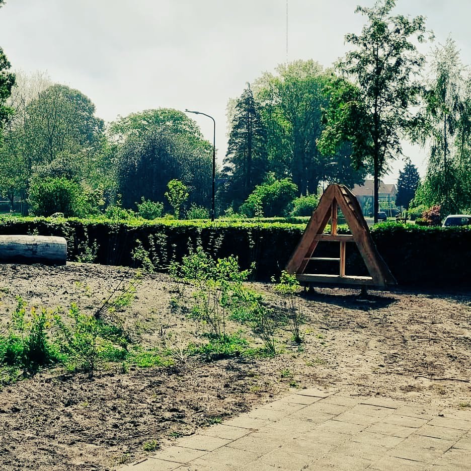 Ons nieuwe insectenhotel wordt vandaag geplaatst. Wat is hij mooi!