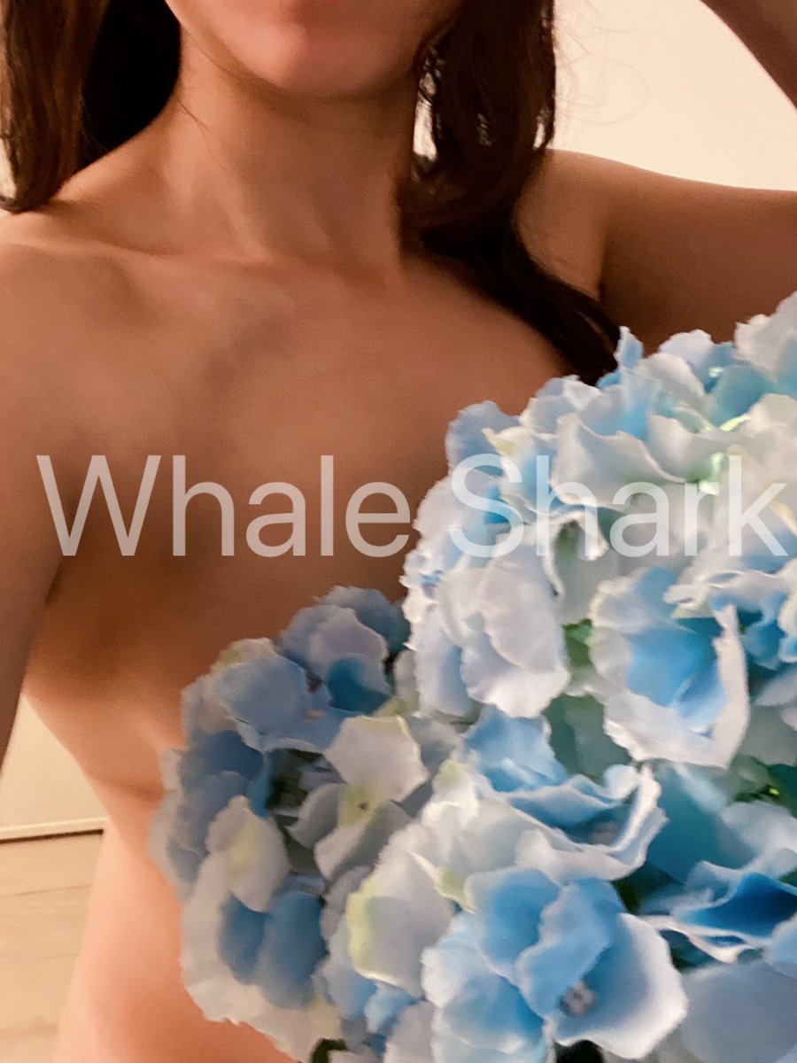 下雨天好好睡
睡飽吃吃飽睡
不知道什麼時候才可以再去泡湯
涼涼的就好想泡湯喔～
#想泡湯
#圖文不符