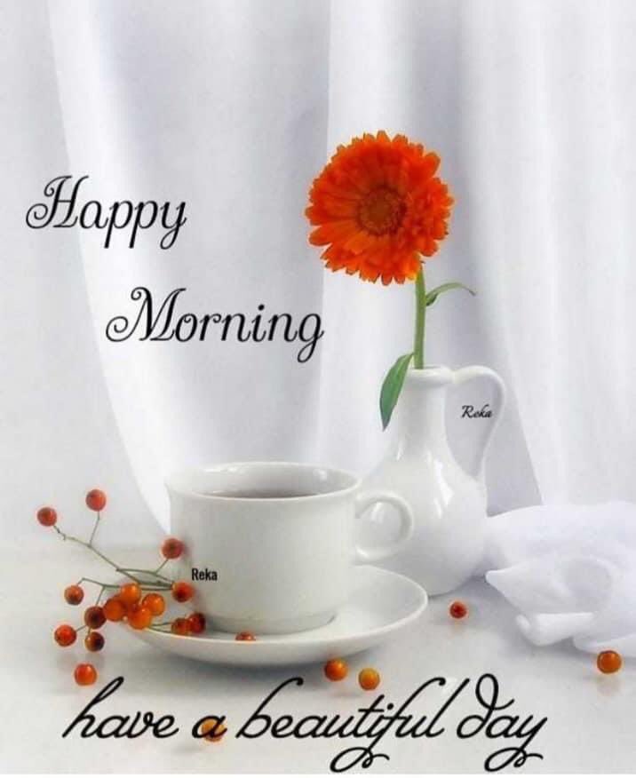 CathyH985's tweet photo. @RosaNegra_08 Thank you..Hope to get my other one back soon 🙋‍♀️🌺🌺 https://t.co/tcnc72bnm5