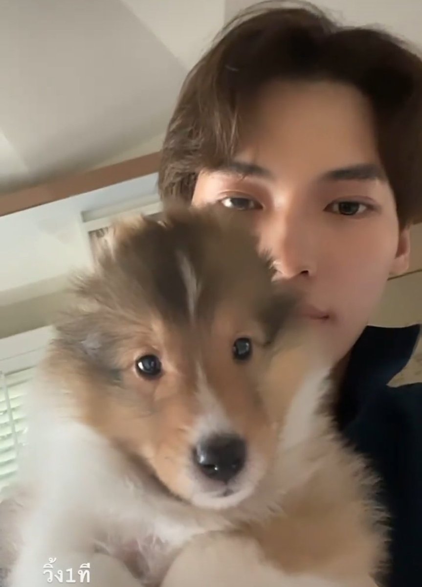 haruyaaaaa's tweet photo. february boy                 december boy
dog person                         cat person https://t.co/Wv4vURvj73