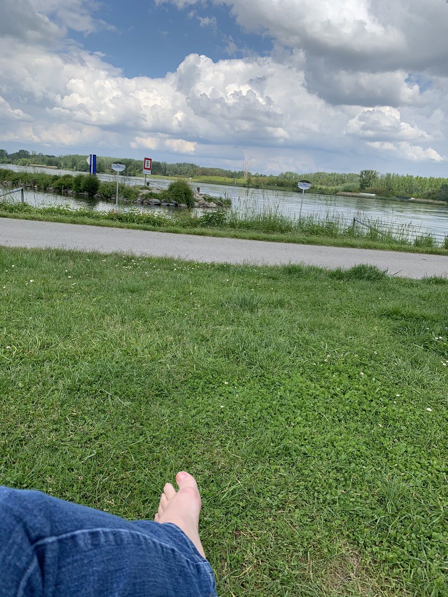 Inge_Bene's tweet photo. Lazy Monday 💫🌤 #nature #donau https://t.co/4EoOd9ss5R