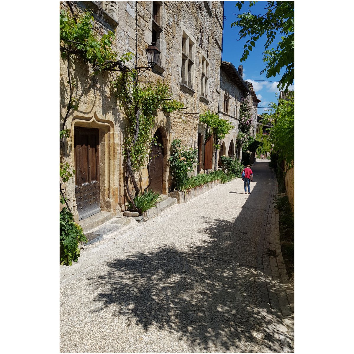 clodius_maximus's tweet photo. Le village de Bruniquel a servi de cadre au film de Robert Enrico "Le vieux fusil" avec Philippe Noiret et Romy Schneider

#TarnEtGaronne #Occitanie #Bruniquel #Patrimoine #monumenthistorique #France https://t.co/8XjZYgaOW1
