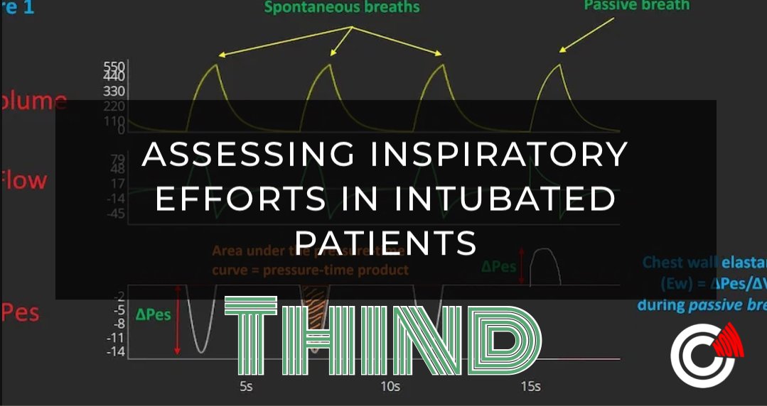 CriticalCareNow's tweet photo. If you’re not reading @Thind888 posts on #CriticalCareNow then your missing out on some pretty amazing physiology. 

Check out the new post from the  #BladesAndBreathing section 

https://t.co/Iu7Go5REpk

#EmergencyMedicine #CriticalCare #MechanicalVentilation #FOAMED #FOADCC https://t.co/eGG5G6pxs6