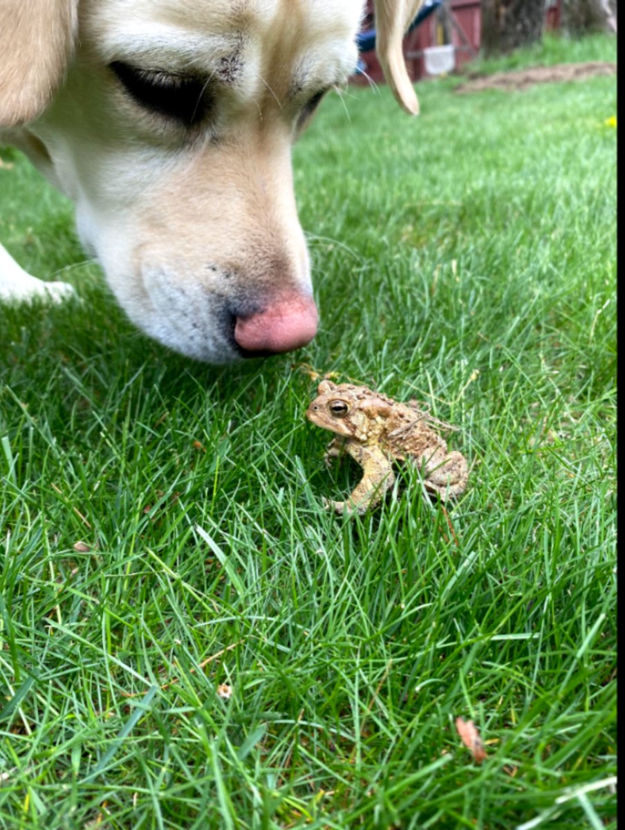 We are all curious about nature. Taken by one of my students for #backyardBio @SciJesse