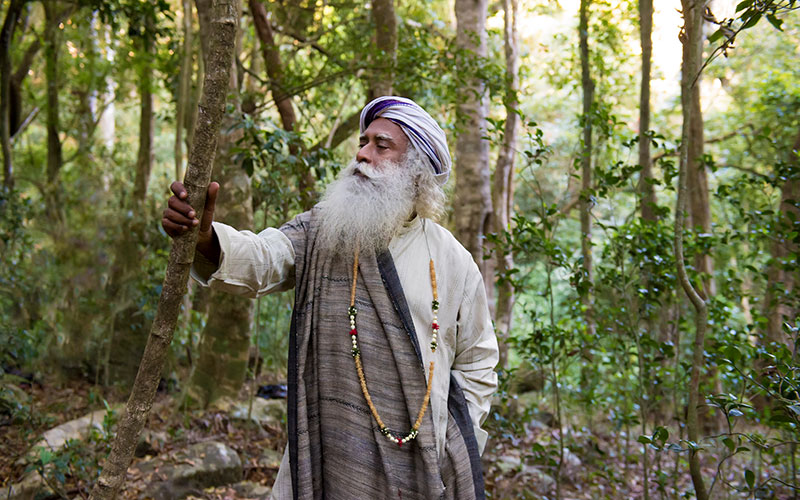 ishafoundation's tweet photo. The damage we cause to the environment is a consequence of how we are within ourselves. If we realize that maintaining our inner climate is in our hands, we will understand that taking action for the environment is also in our hands. #SadhguruQuotes #WorldEnvironmentDay https://t.co/bTWowmo0Pm