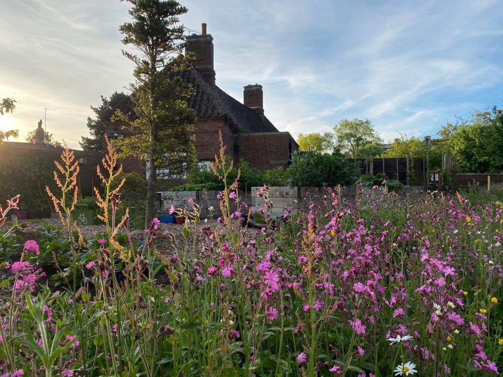 Grow With Joe tweet media