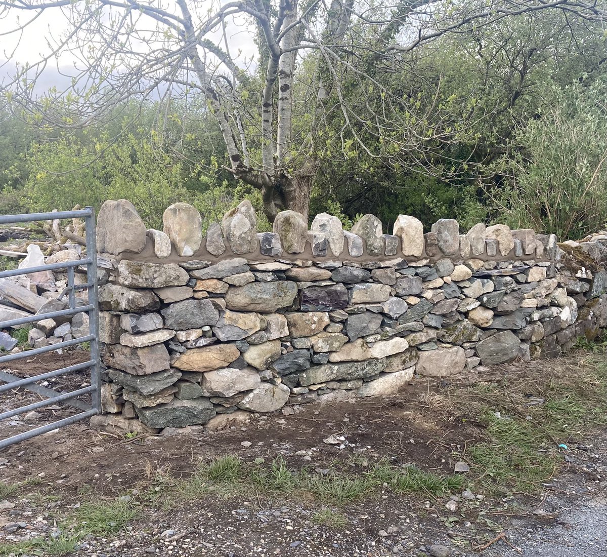 llyrg_jones's tweet photo. Before and after pictures of a dry stone wall built to close the gate into the wall. The last picture with the copping on and the back of the wall haunched to finish the job off.👌 https://t.co/IhFBo4aR9X