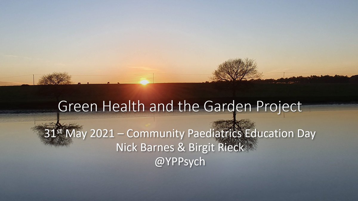 YPPsych's tweet image. Huge thanks to @NHSHighland #communitypaediatrics team for allowing space to talk about #GreenHealth &amp;amp; #GardenProject today. Lots #creativity &amp;amp; possibilities 
#ConnectingwithNature 
@HHCA_ @DrBridieH @Katieonthebike @inthebotanics @Emmainverness @RCPCHPresident @GreenerNHS