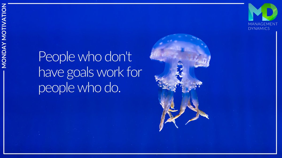 Mgt_Dynamics's tweet image. Even the smallest of goals can have the greatest impact.

#mondaymotivation #leadershipdevelopment #highperformingteams #quoteoftheday #inspiringleadership