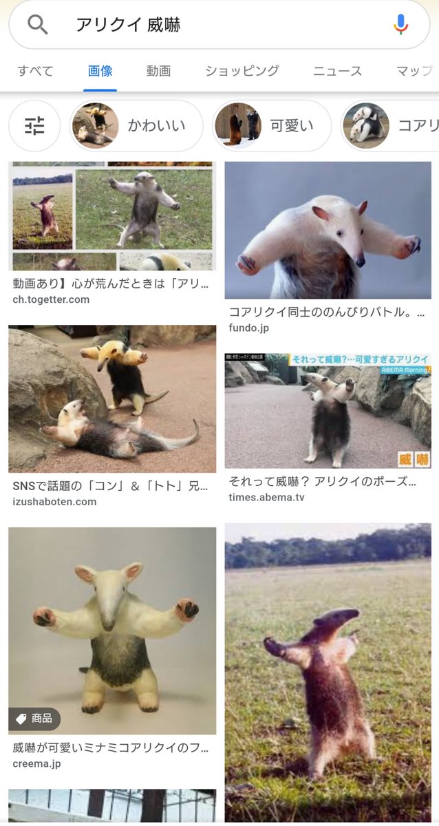 ngps_so_cute's tweet photo. そういえばグレイの恒常★4の勝利モーションかんぜんにこれでかわいい https://t.co/0nNs2iPYwx