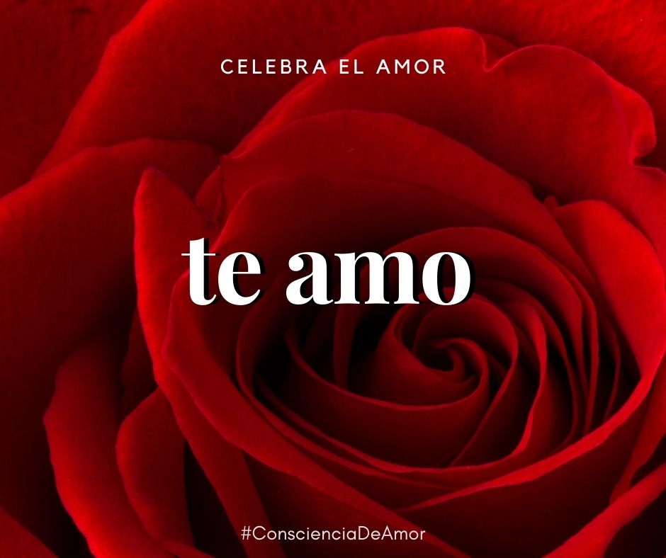 AnakinRama's tweet photo. "Soy una manifestación de amor.
Sólo sé amar
Sólo puedo darte amor
Con orgullo te digo "Te amo" y se regocija mi alma al decirlo.
Mi corazón salta de alegría y mi alma se expande".

Anakin Rama

#YoSoyAmor
#AmarEsLibertad
#CreeyActúa
#ConcienciaDeAmor
#Amor https://t.co/IOuRKj6sP2