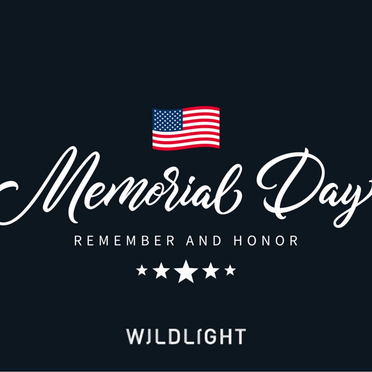 Wildlight tweet media