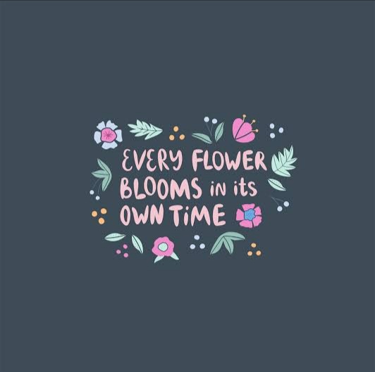 lzlariane's tweet photo. 🌻🌻🌻 https://t.co/QBLBuNyHv6