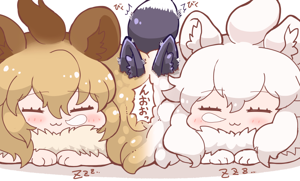 🦁🦊🦁 