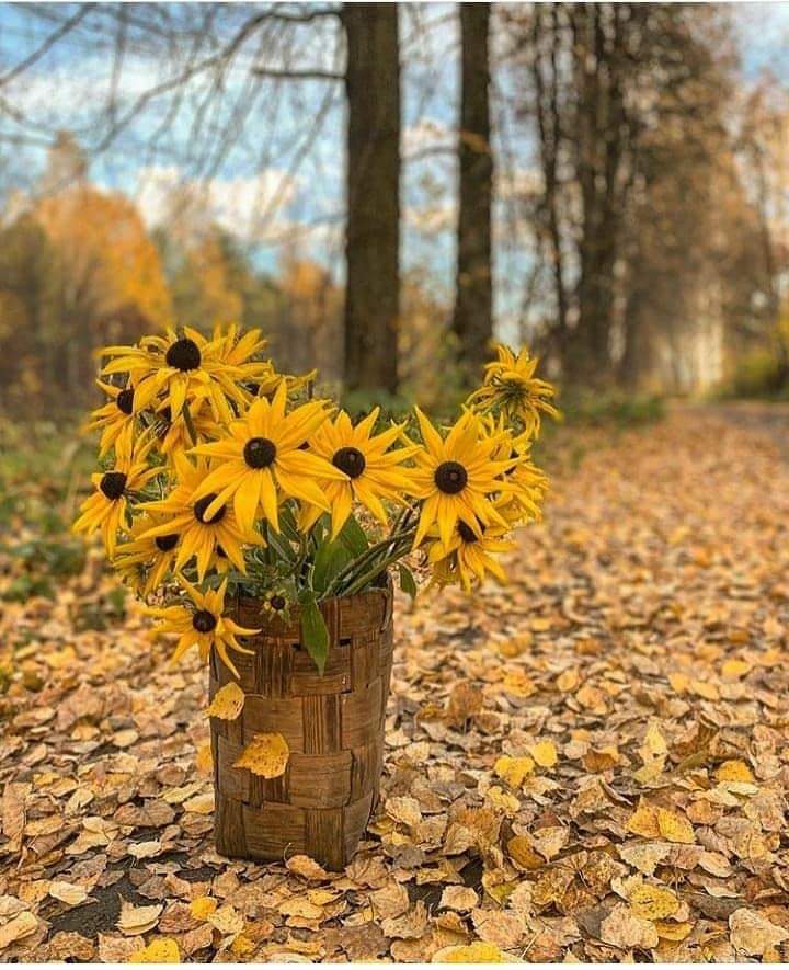 " تعود ان تخيط جروحك من الداخل بنفسك ..
لا احد يعرف حقيقه وجعك وشدته .. كما تعرفها انت ..
اي يد اخرى تلمس جروحك ستوجعها اكثر "