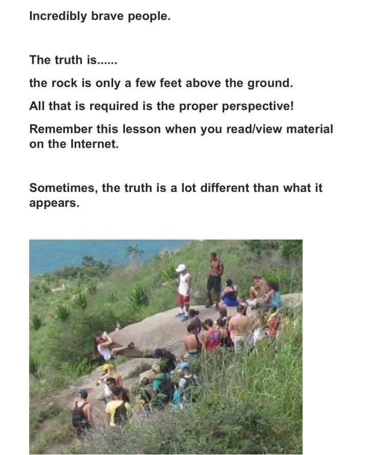 C. Michael Gibson MD tweet media