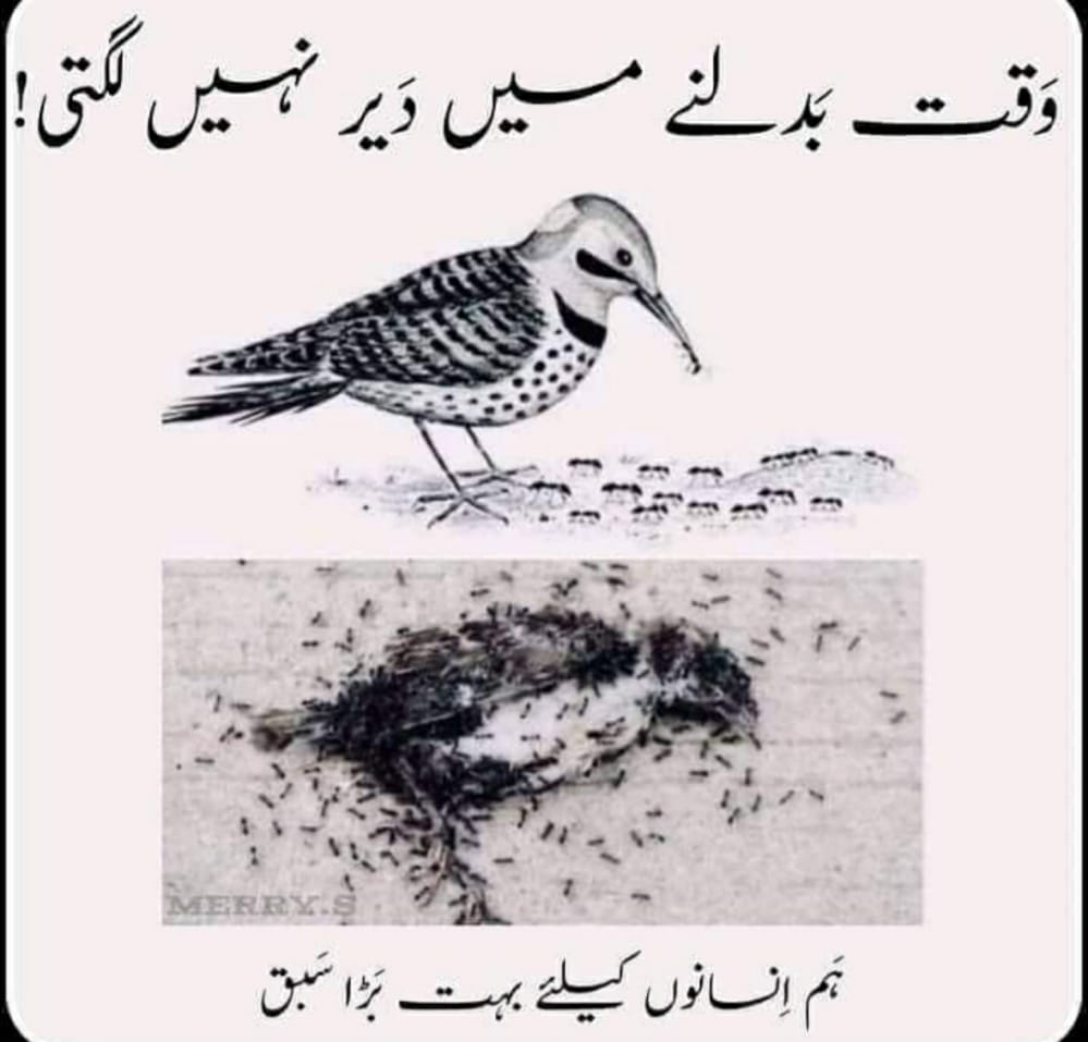 Jiger_Cricket's tweet photo. وقت بدلنے میں دیر نہیں لگتی
@DrMuradPTI
@RajaBasharatLAW
@UsmanAKBuzdar
@ImranKhanPTI
 #NotificationforDRA
#RegulariseSSEsAEOs https://t.co/zCoYUIOtyw
