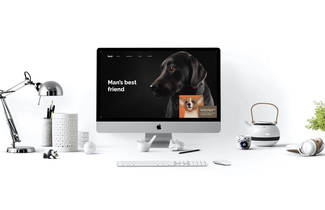 ztechandmore's tweet image. Landing Page Sample

.
.
.
.
.
#codingblog #dataengineering #interface #investinbitcoin #stemeducation #workstation #youtube #programming #uiuxdesign #business #love #coding #tech #motivation #startup #marketing #design #software #photography #womenintech #art #technology