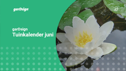 Tekenjetuin's tweet photo. Met een beetje geluk genieten we van strakblauwe luchten en uitbundige zonneschijn! Het wordt tijd om te genieten van je terras, maar er is ook genoeg werk in de tuin te doen. En vergeet zeker de moestuin niet. Hier is de tuinkalender van de maand juni! https://t.co/dtljlCWais https://t.co/yaOTjHqpBY