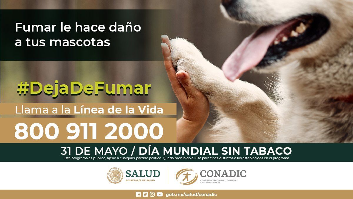 Jorgolvera's tweet photo. #Dejadefumar #DiamundialSinTabaco #ComprometeteADejarDeFumar https://t.co/vtst6jbUkn