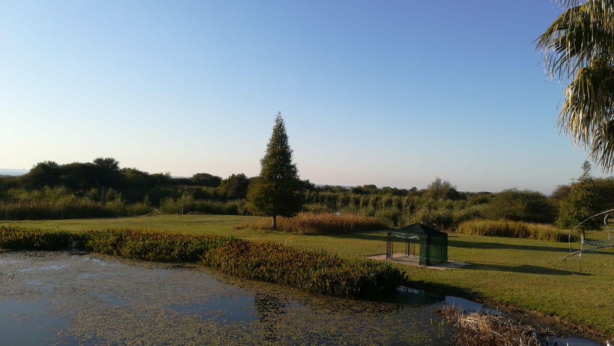 DitholoLodge's tweet photo. We want you to experience tranquility and focus on self-care after the lockdown restrictions have been lifted.
-
-
-
#DitholoGameLodge #OrionHotels #Tranquility #FindYourself #SaveSATourism #SupportLocal https://t.co/T3M9kqkpLk