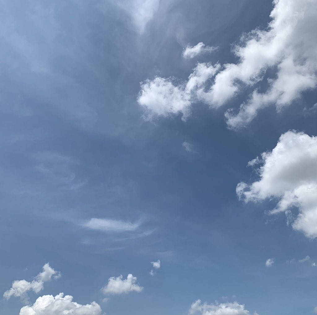 ˙ ͜ʟ˙🔎 #junewish 🌥˚