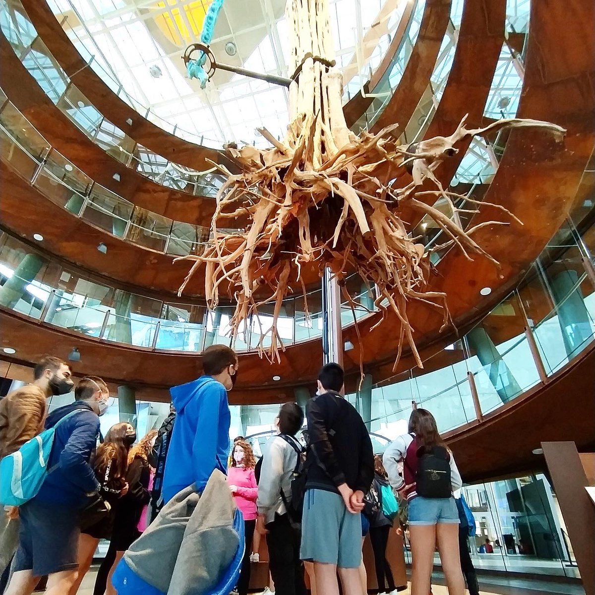 insestatut's tweet photo. 1r ESO al @cosmocaixa, per veure la sala Univers: des del Big Bang als nostres dies #insestatut #inslestatut #somlestatut #estatut #educacio #ciències #lunivers #vidaalaterra #institut #educaciopublica #ensenyamentpublicidequalitat #curs2021 #ESO #rubi_ciutat #rubíeducació https://t.co/fEHiTrhhPL