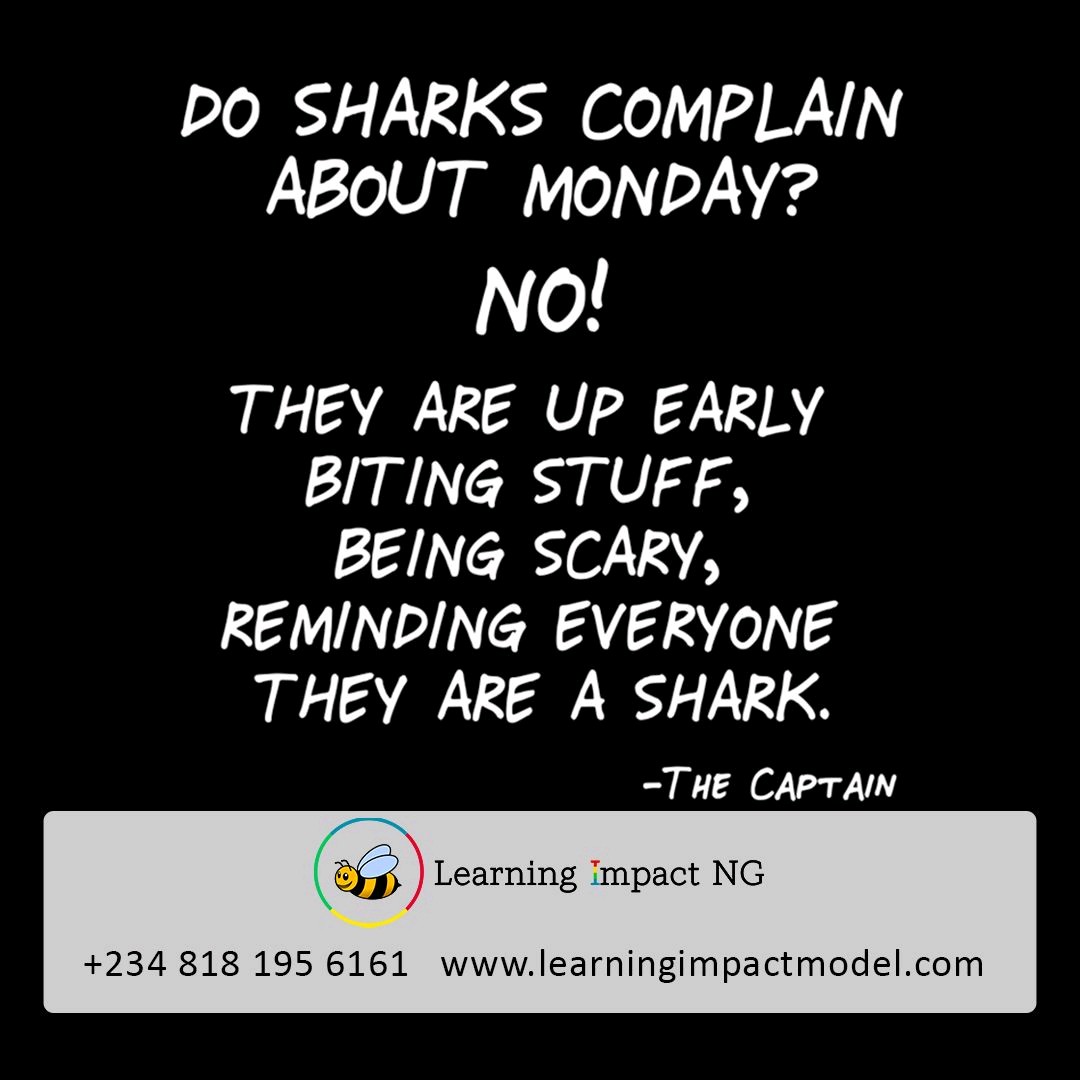 learning_bee's tweet photo. What is Your Opinion on Monday Blues? Are they real for you?

#mondaymotivation #mondaymood #mondayblues #mondayfeels #positivevibesonly https://t.co/fwdPsSrXvi