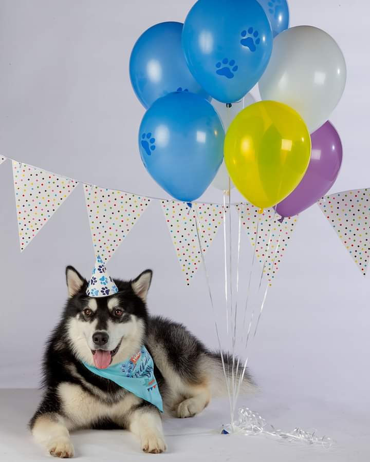   Happy Birthday!!!!!!!!!!!! 