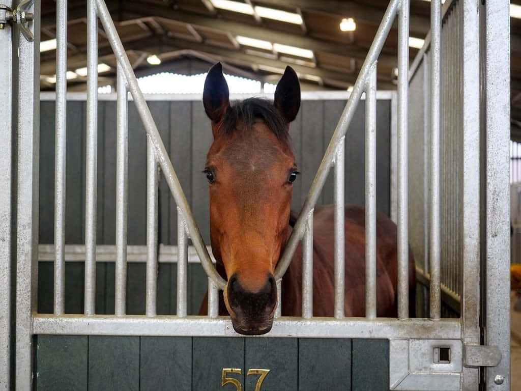 Hambleton Racing on Twitter: