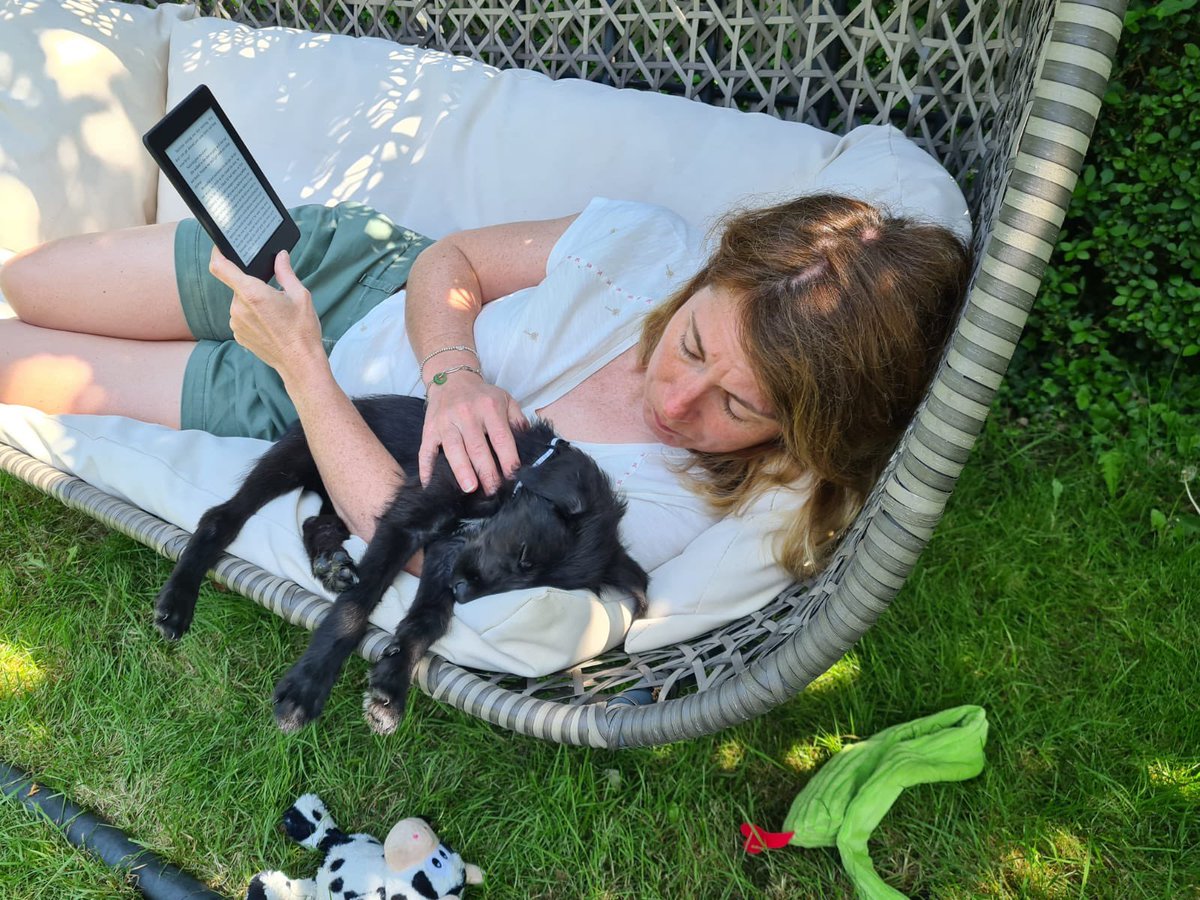 rocketmuffin's tweet image. Dog heaven.... when did I become so ridiculous