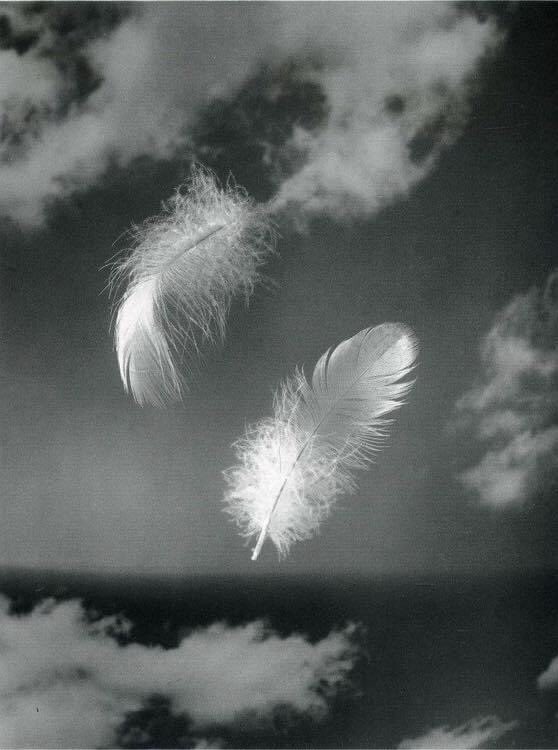 Andreas Feininger

#andreasfeininger #light 
#fluffy #clouds #feather #simpleisbeautifulphotography #photography #art #shadow #photogallery  #artwork #moment  #nature #beautiful #light #fantasy #poetry #dream #love #travel #blackandwhite #simple #bnw #artgallery #story