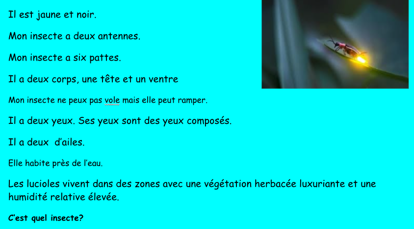 Students:
- learned new Science vocabulary
- wrote descriptions of insects
- shared orally with the class
- guessed each other's insects en français
*reading, writing, listening, speaking, interacting in one fun activity!
#rvsonlinelearning #rsvlit #rvsed