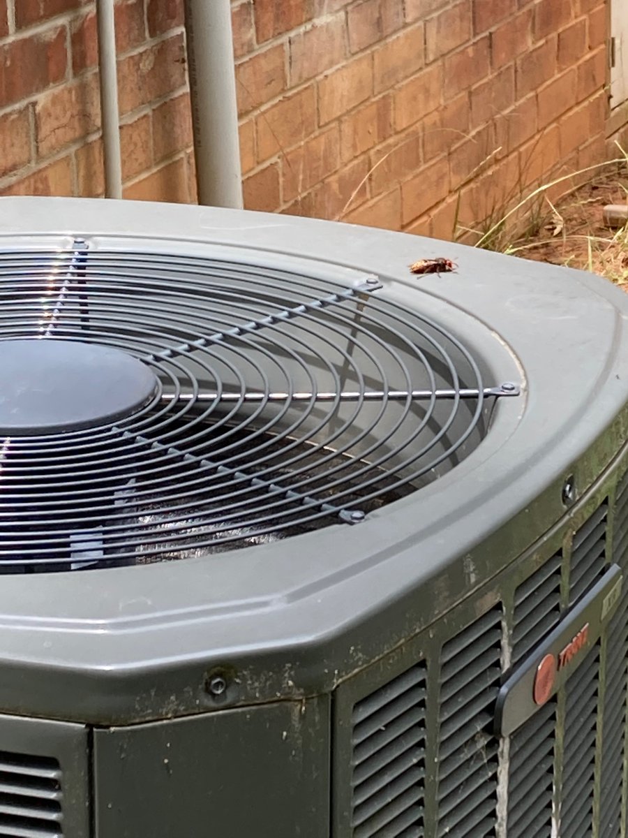 AJW_leader_dad_husband tweet media