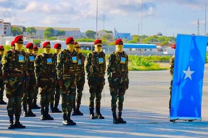 Guleed_ibrahim's tweet photo. #Gorgorro maanta kusoo degay garoonka muqdisho oo kasoo duulay #Turkiga, kuna soo qaatay tabobar #Adag,
Kusoo dhawaada dalkiina hooyo iyo dad idin #Jecel.
Dal Aan cidan lahayni ma #JiriKaro.♥️ https://t.co/kA8rVfGB7u