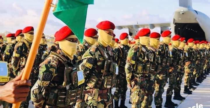 Guleed_ibrahim's tweet photo. #Gorgorro maanta kusoo degay garoonka muqdisho oo kasoo duulay #Turkiga, kuna soo qaatay tabobar #Adag,
Kusoo dhawaada dalkiina hooyo iyo dad idin #Jecel.
Dal Aan cidan lahayni ma #JiriKaro.♥️ https://t.co/kA8rVfGB7u