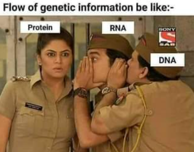 DNA_RNA_Uni tweet picture