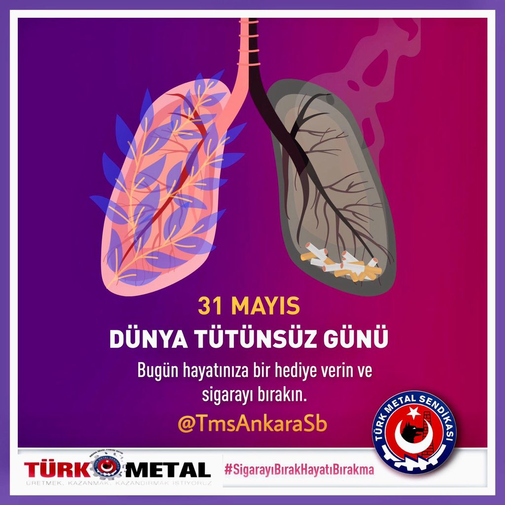 Dumanı Değil❌
Hayatı İçinize Çekin🫁

Sigara başta olmak üzere sağlığınızı tehdit eden her türlü tütün ürününden uzak durun.

#31MayısDünyaTütünsüzGünü