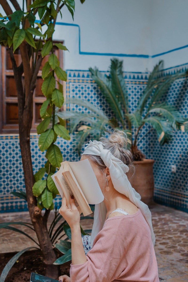 KDnuggets tweet media