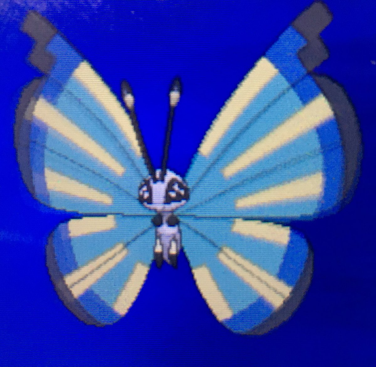 ポケモンgo ビビヨンの色違い 入手方法と実装状況 攻略大百科