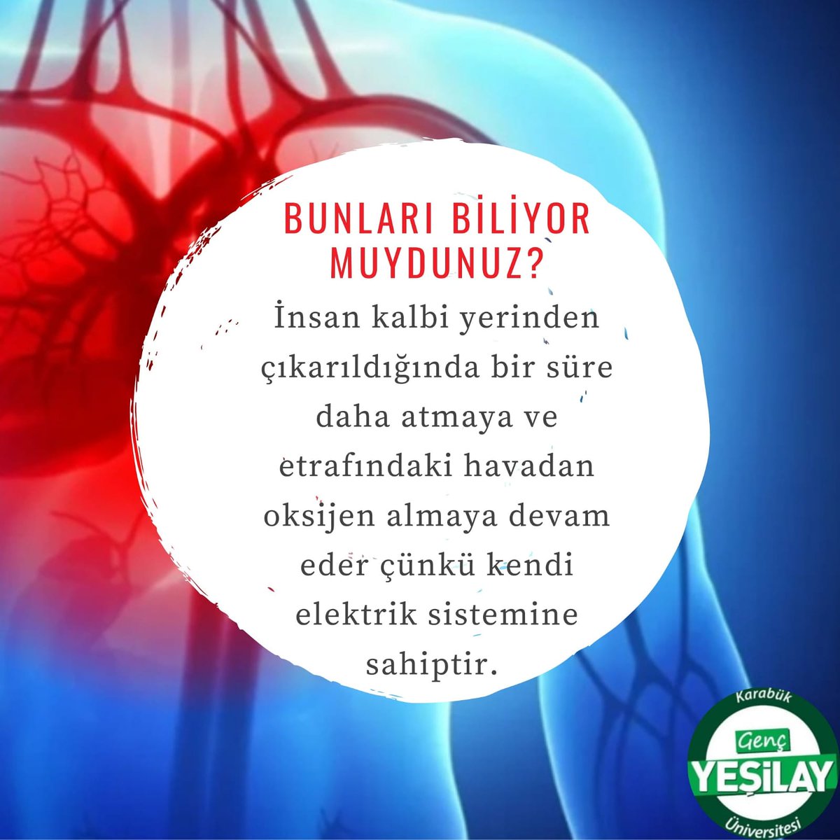 Bunları Biliyor Muydunuz ? Bilgi köşemizde bu hafta.. 💚
#yesilay #gencyesilay #bilgi #bunlarıbiliyormuydunuz #insangözü #saglik