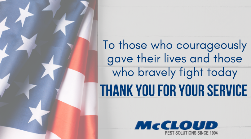 mccloudservices's tweet photo. Memorial Day is a great day to enjoy time with friends and family, but the holiday has a deeper meaning. #WeRemember those who gave their lives for our freedom. https://t.co/yqwEUgHVCi