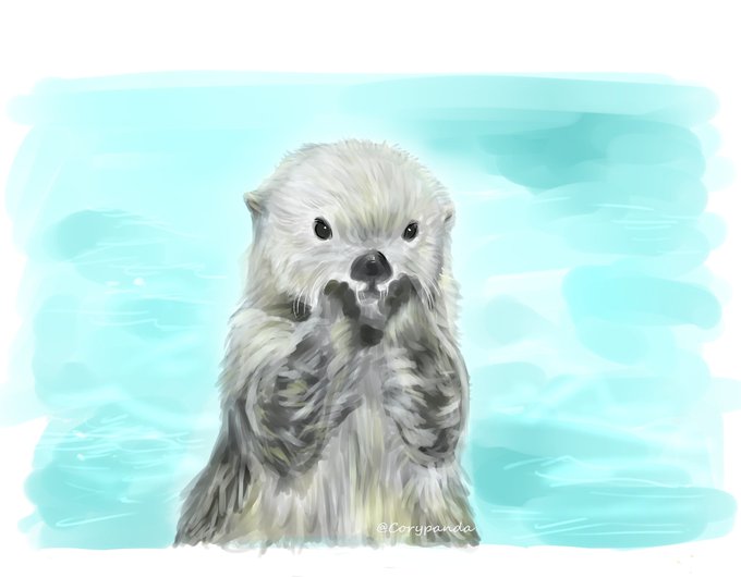 ラッコのメイのtwitterイラスト検索結果