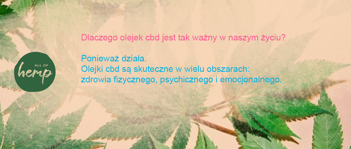 🪴 All of hemp 🪴 (@hemp46498187) on Twitter photo 