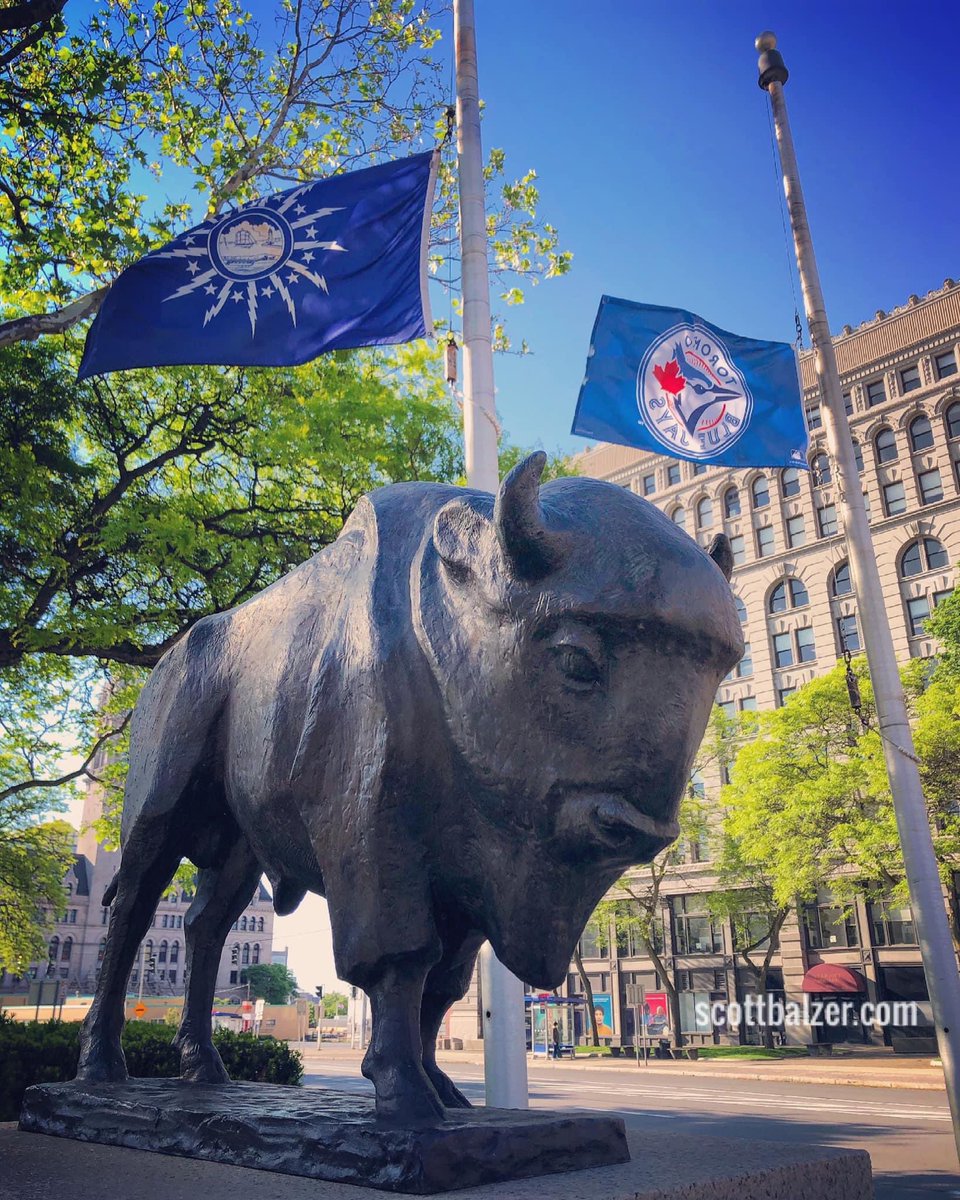 BackyardBuffalo's tweet photo. Welcome back to Buffalo Blue Jays
Via 📸 @scottbalzer https://t.co/QjBk1qLawD